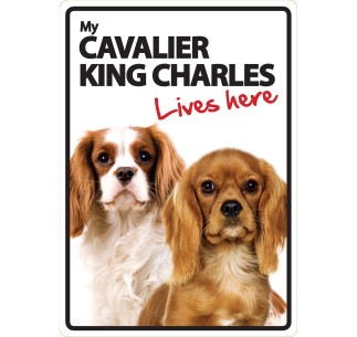 Señal A5 'Cavalier King Charles - Lives Here'