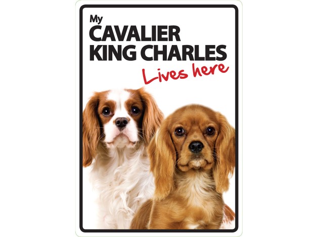 Señal A5 'Cavalier King Charles - Lives Here'