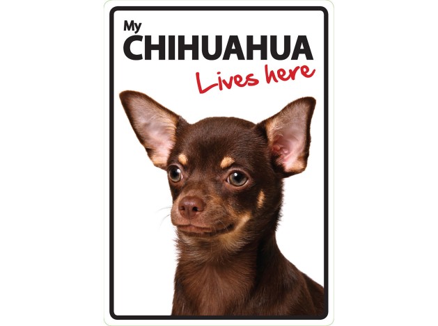 Señal A5 'Chihuahua - Lives Here'