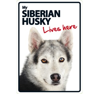 Señal A5 'Siberian Husky - Lives Here'