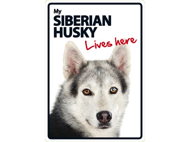 Señal A5 'Siberian Husky - Lives Here'
