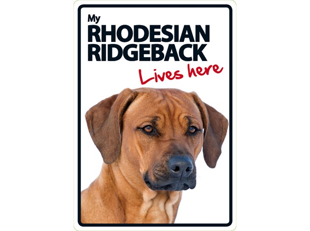 Señal A5 'Rhodesian Ridgeback - Lives Here'