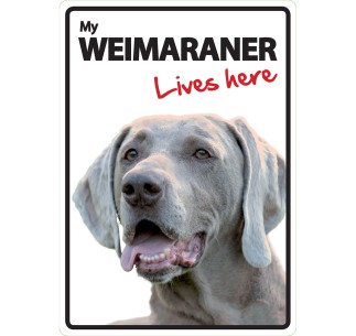 Señal A5 'Weimaraner - Lives Here'