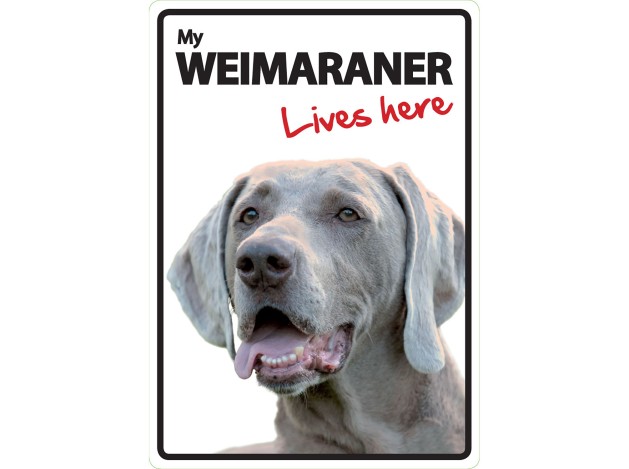 Señal A5 'Weimaraner - Lives Here'