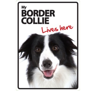 Señal A5 'Border Collie - Lives Here'