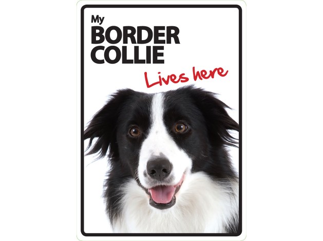 Señal A5 'Border Collie - Lives Here'