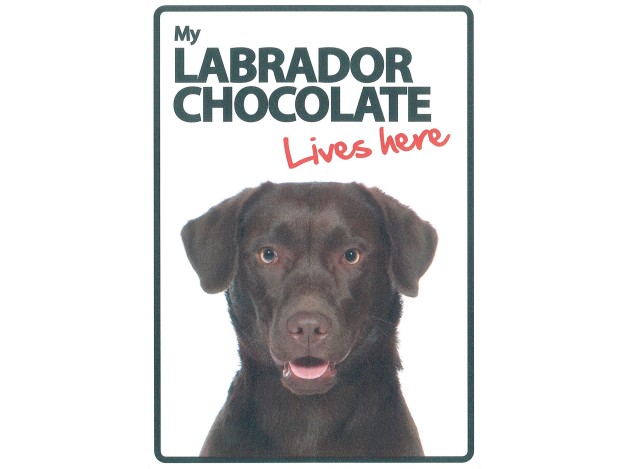 Señal A5 'Labrador Chocolate - Lives Here'