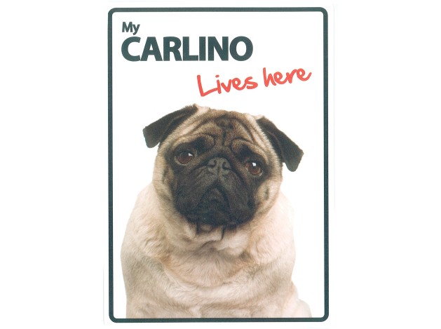 Señal A5 'Carlino - Lives Here'