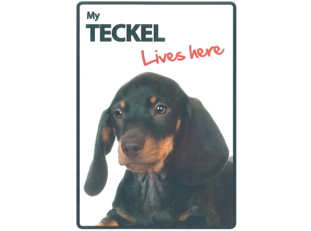 Señal A5 'Teckel - Lives Here'