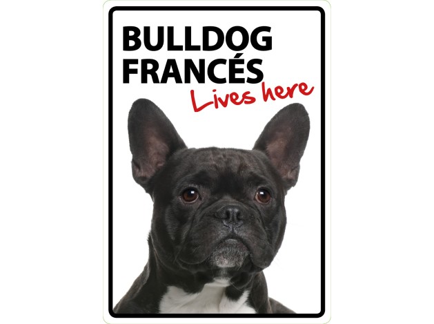 Señal A5 'Bulldog Francés - Lives Here'