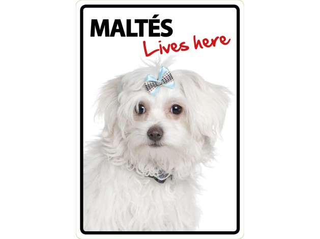 Señal A5 'Maltés - Lives Here'