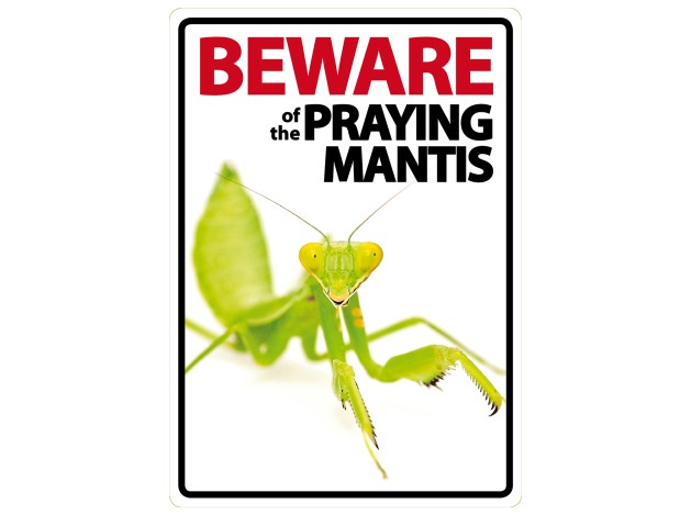 Señal A5 'Beware of the Praying Mantis'