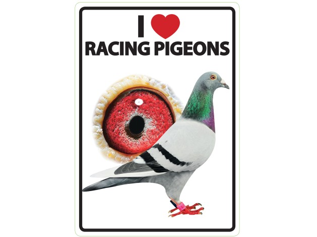 Señal A5 'I Love Racing Pigeons'