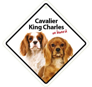 Señal con Ventosa 'Cavalier King Charles on Board'