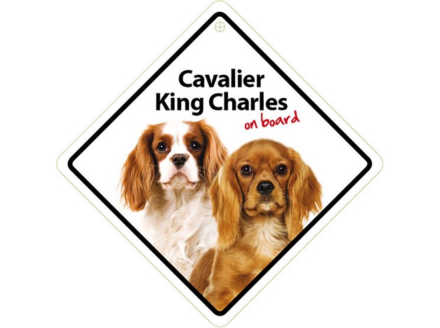 Señal con Ventosa 'Cavalier King Charles on Board'