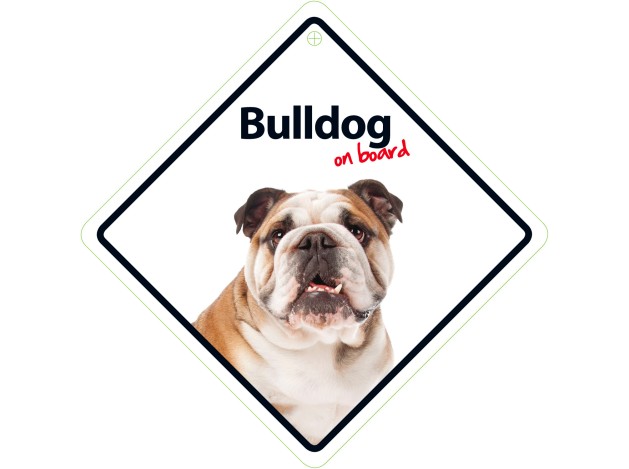 Señal con Ventosa 'Bulldog on Board'