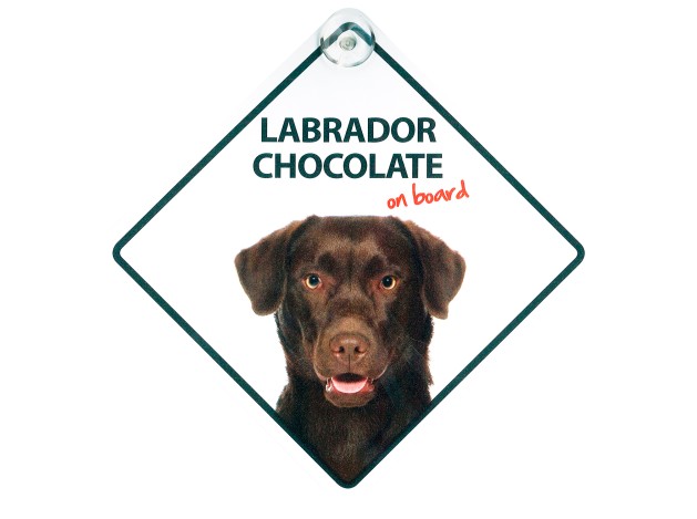Señal con Ventosa 'Labrador Chocolate on Board'
