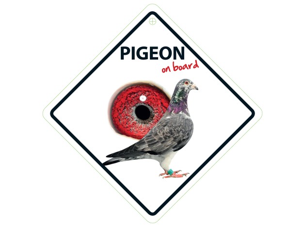 Señal con Ventosa 'Pigeon on Board'