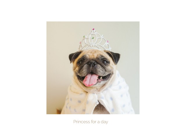 Tarjeta Carlino como Princesa