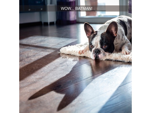 Tarjeta Bulldog Francés Batman