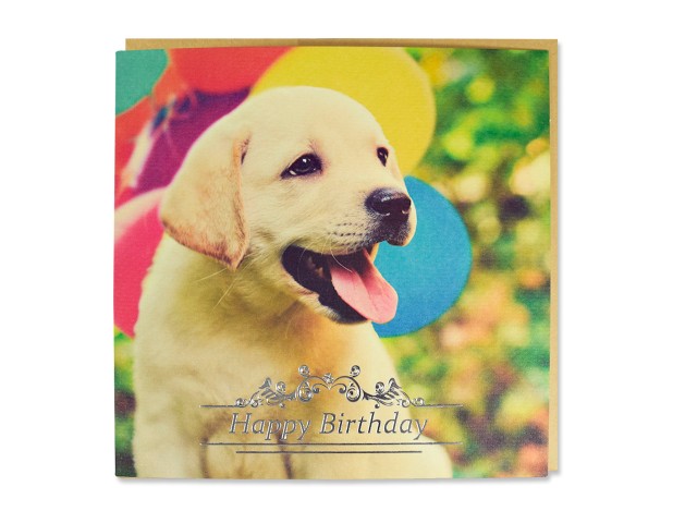 Tarjeta Labrador Amarillo y Pelotas