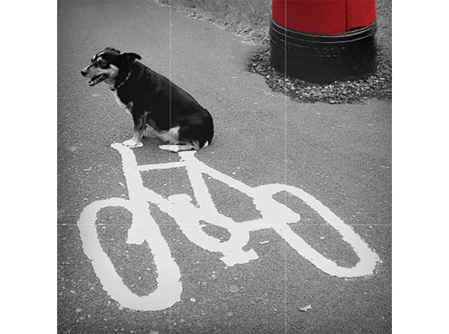 Tarjeta B/N Perro y Bici