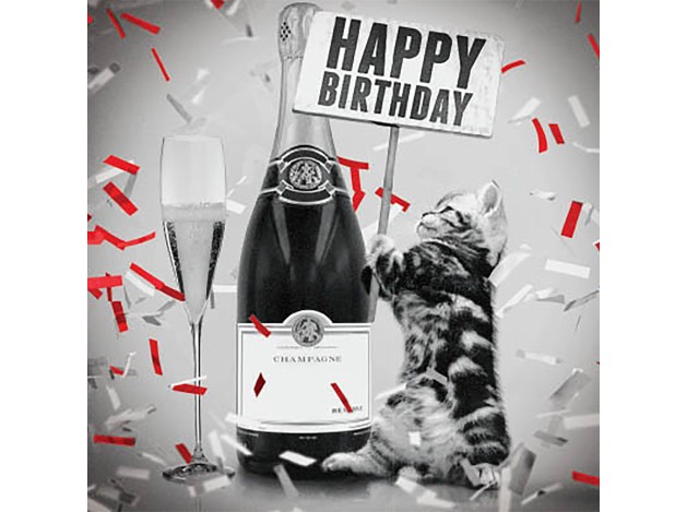 Tarjeta Gatito con Champán