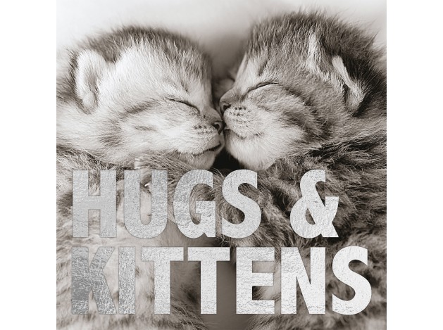 Tarjeta B/N Gatitos 'Hugs & Kittens'