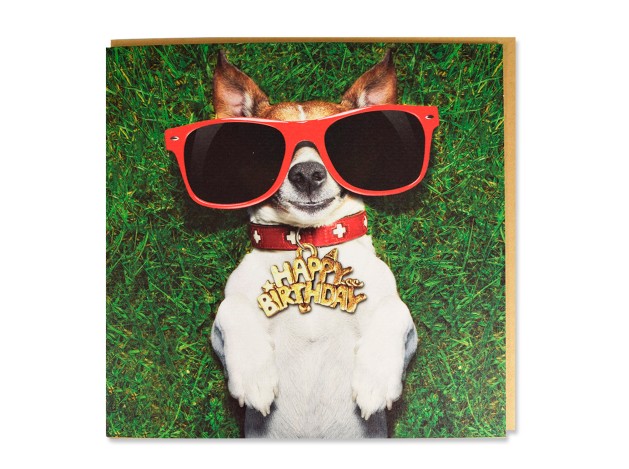 Tarjeta Jack Russel con Gafas 'Happy Birthday'