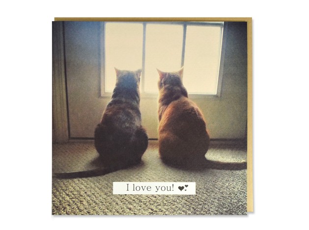 Tarjeta 2 Gatos 'I Love You'