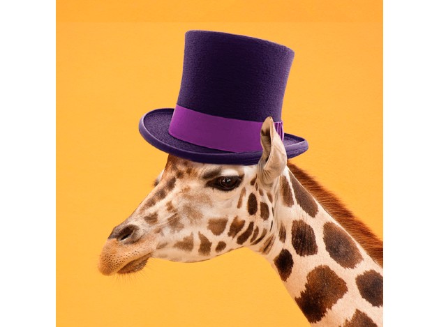 Tarjeta Fashion Jirafa con Sombrero