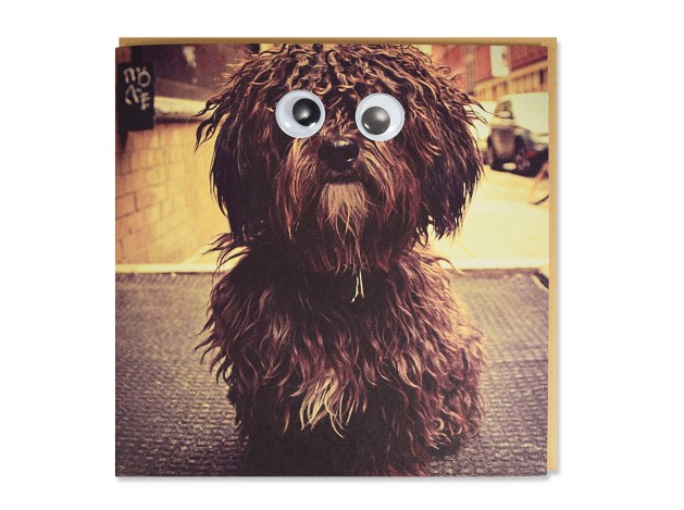 Tarjeta Fashion Shaggy Marrón con Ojos