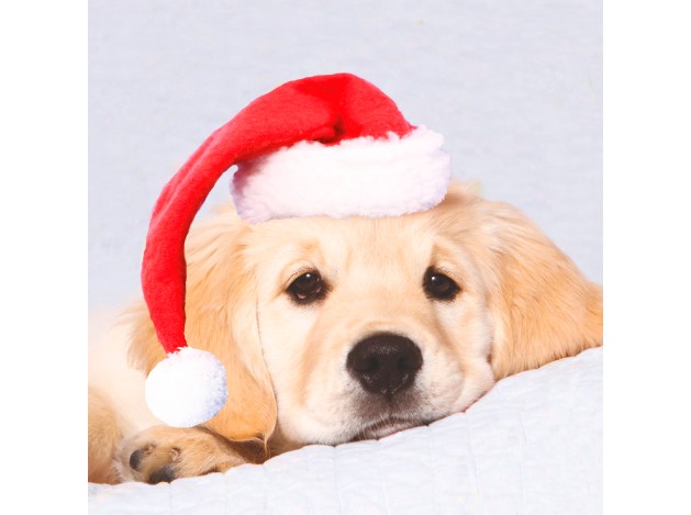 Tarjeta Golden con Sombrero