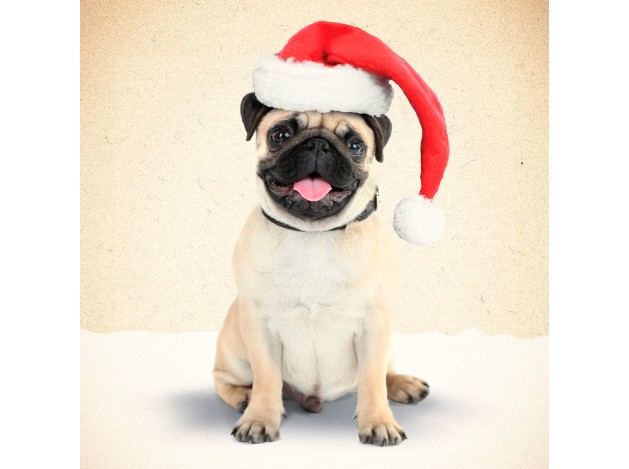 Tarjeta Carlino con Gorro