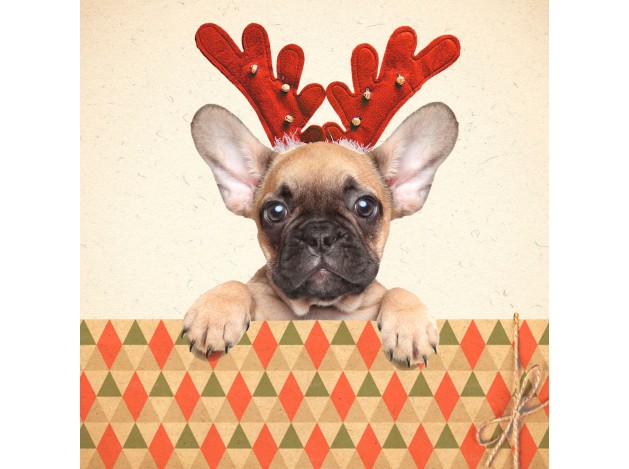 Tarjeta Frenchie con Astas de Reno