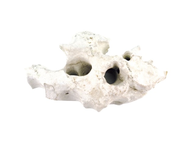 Piedras HULSTEN HVIDE