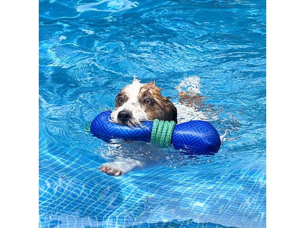 Lanzador flotante con cuerda para perro