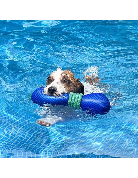 Lanzador flotante con cuerda para perro