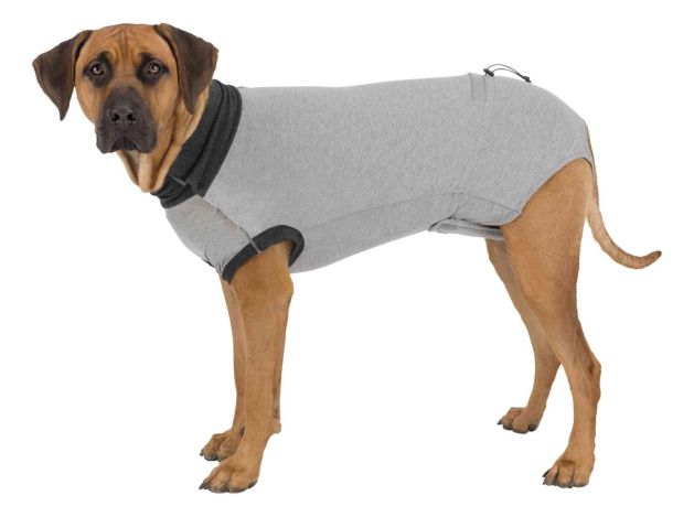 Body Protector