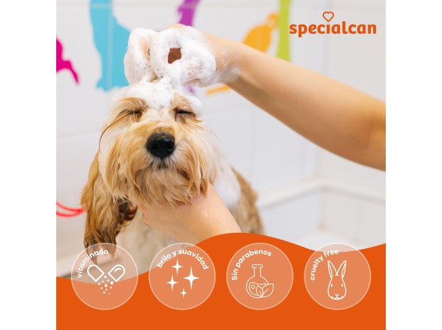 Champú Specialcan Pelo Blanco 1LT