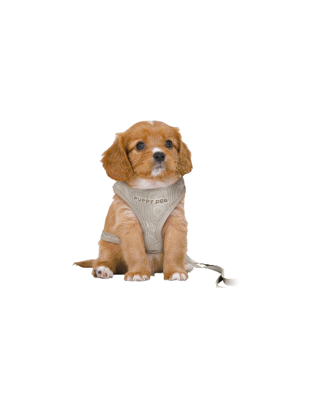 Junior Arnés Acolchado con Ramal para Cachorros 26-34cm / 10 mm