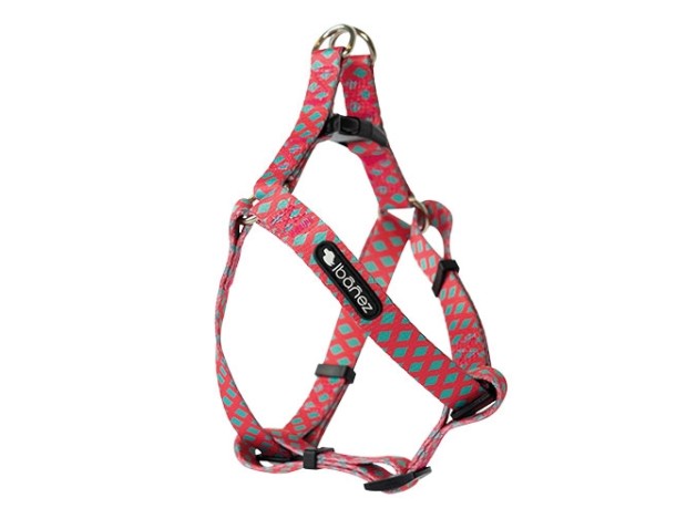 Arnés para perros fantasy Pinck x35-60cm