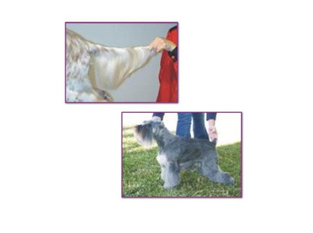 Polvos de grooming con silicona Kw