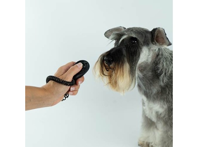 Clicker con elástico Ibáñez