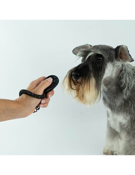 Clicker con elástico Ibáñez