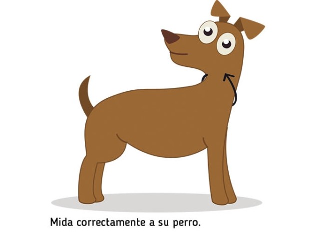 Collar cadena Sprenger sencillo