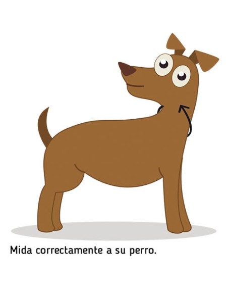 Collar cadena Sprenger sencillo