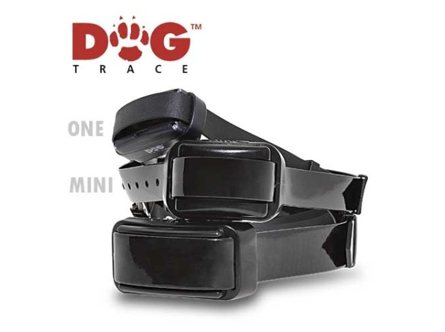 Dogtrace  Pro  1000