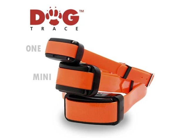 Dogtrace  Pro  1000