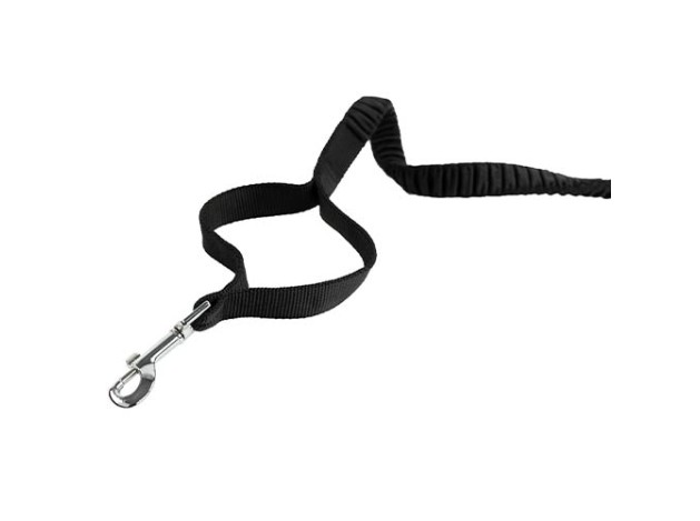 Correa running On Go